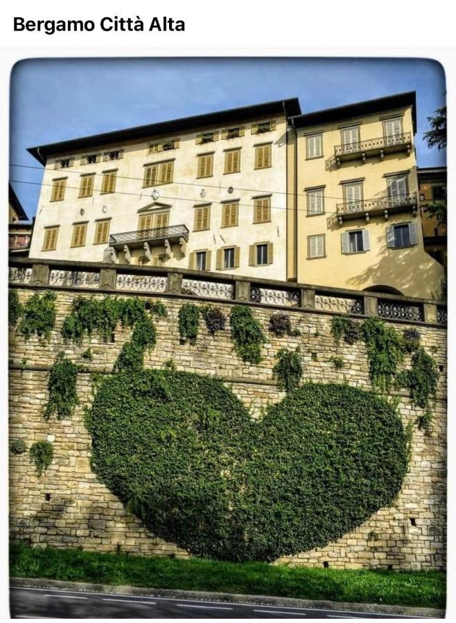 Smart Gold Apartment Luxury Central Bergamo Exteriör bild